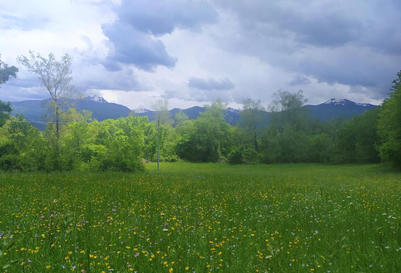 Agriturismo Rio Ricco Busana المظهر الخارجي الصورة
