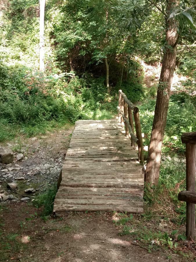 Agriturismo Rio Ricco Busana المظهر الخارجي الصورة