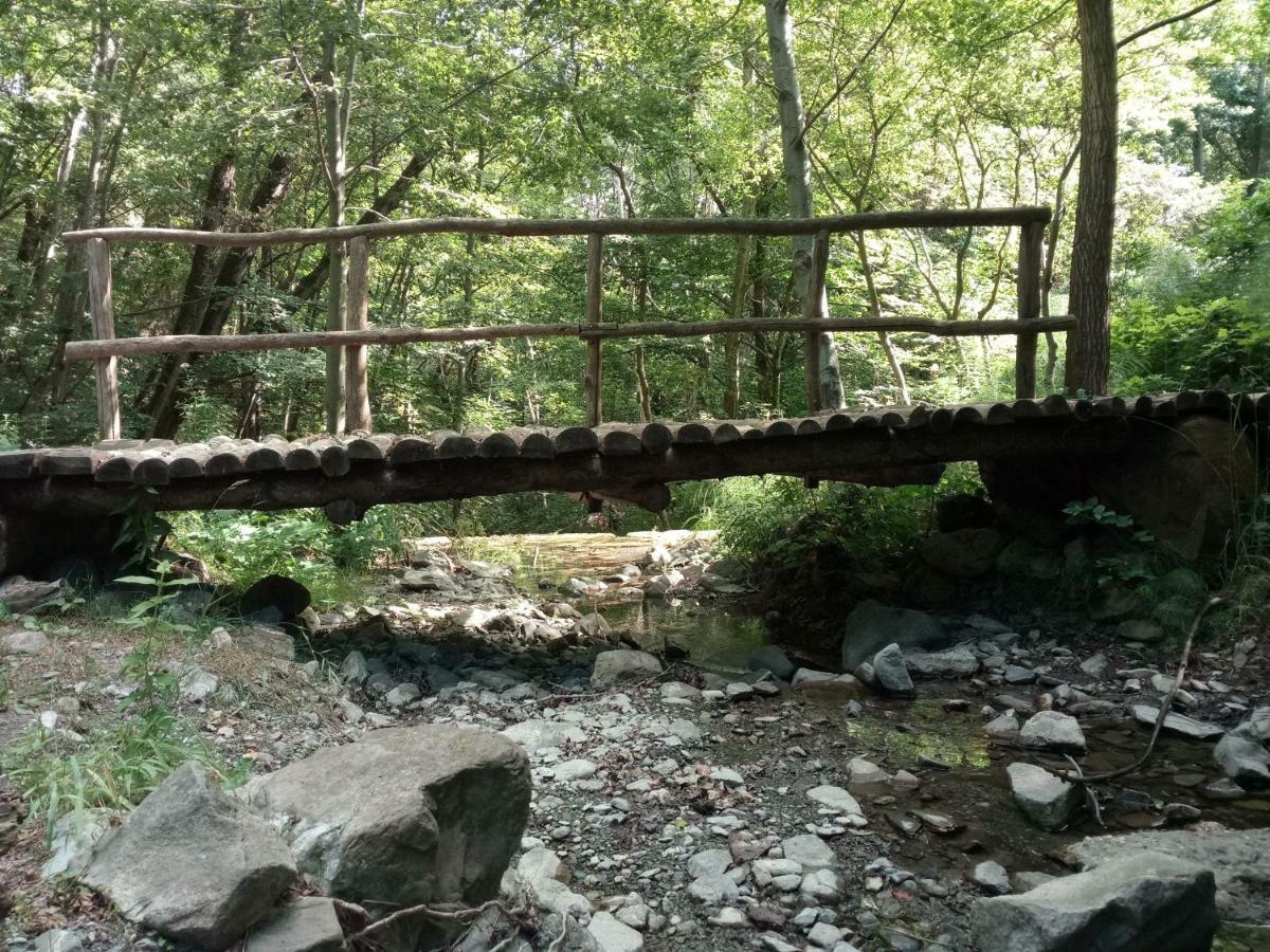 Agriturismo Rio Ricco Busana المظهر الخارجي الصورة